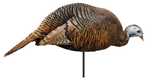 MONTANA DECOY TKY DINNER BELLE FEEDING HEN 2D